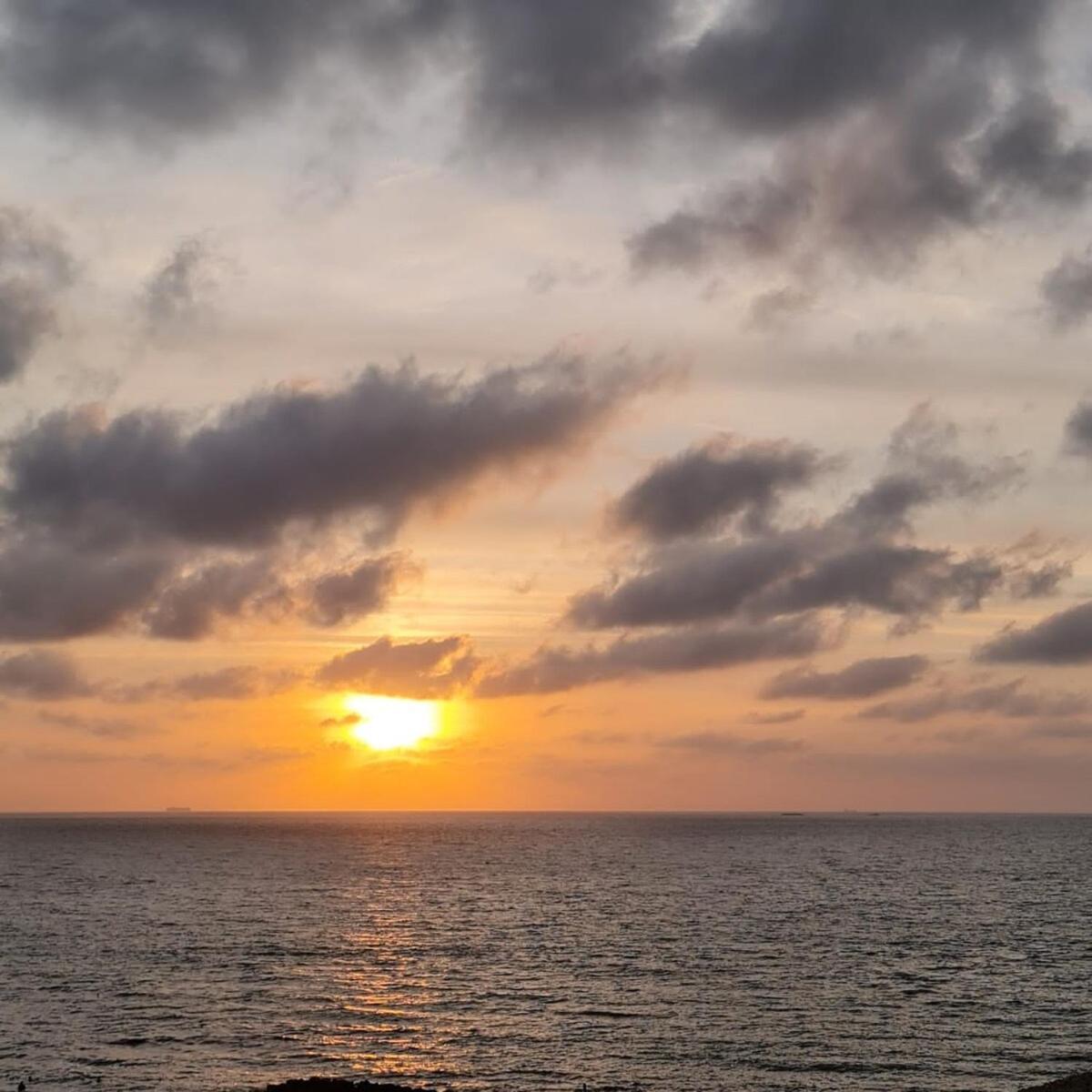 Oceanfront In Apartamento *